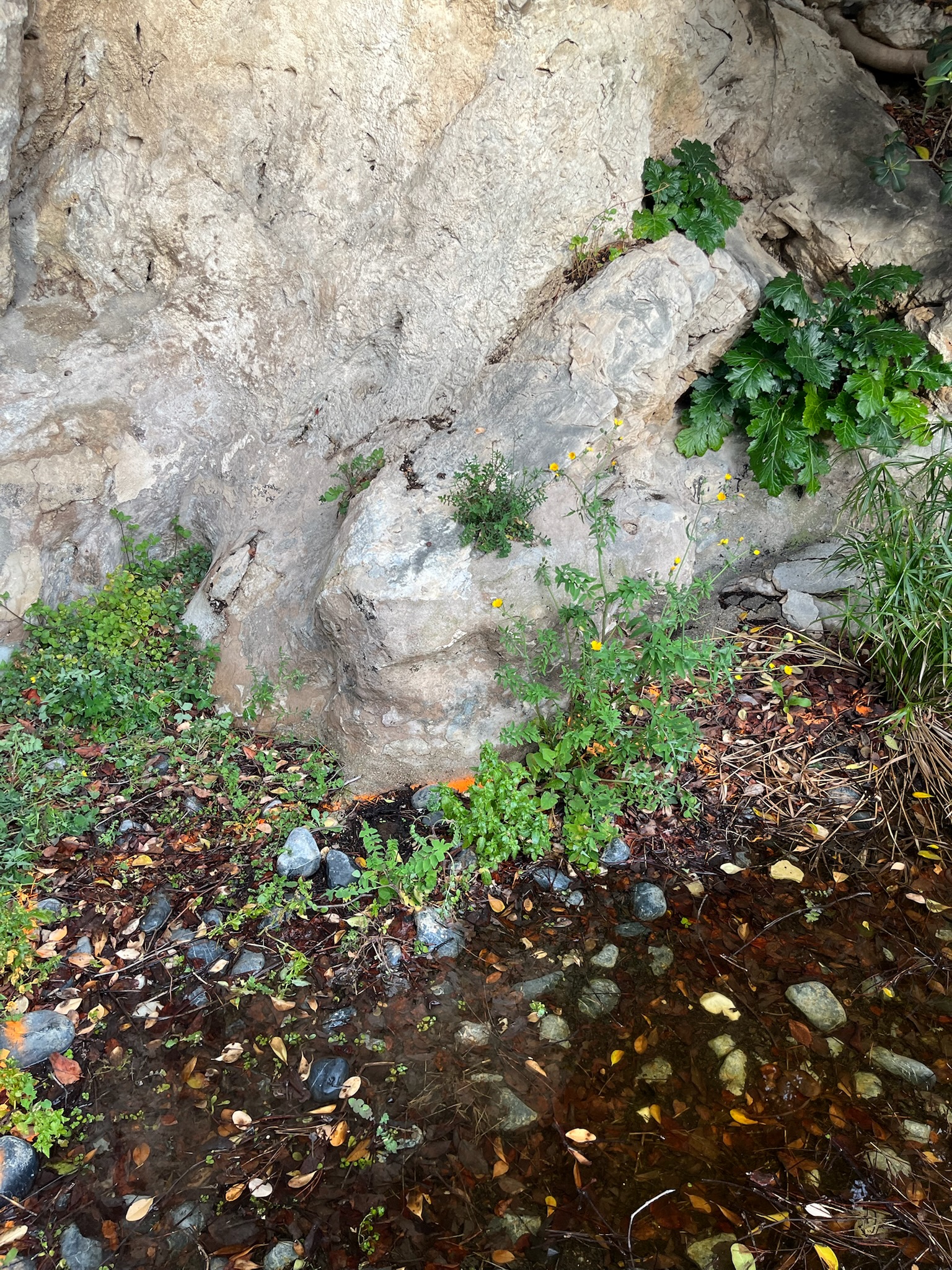 Chantier Roucas - Photo 115